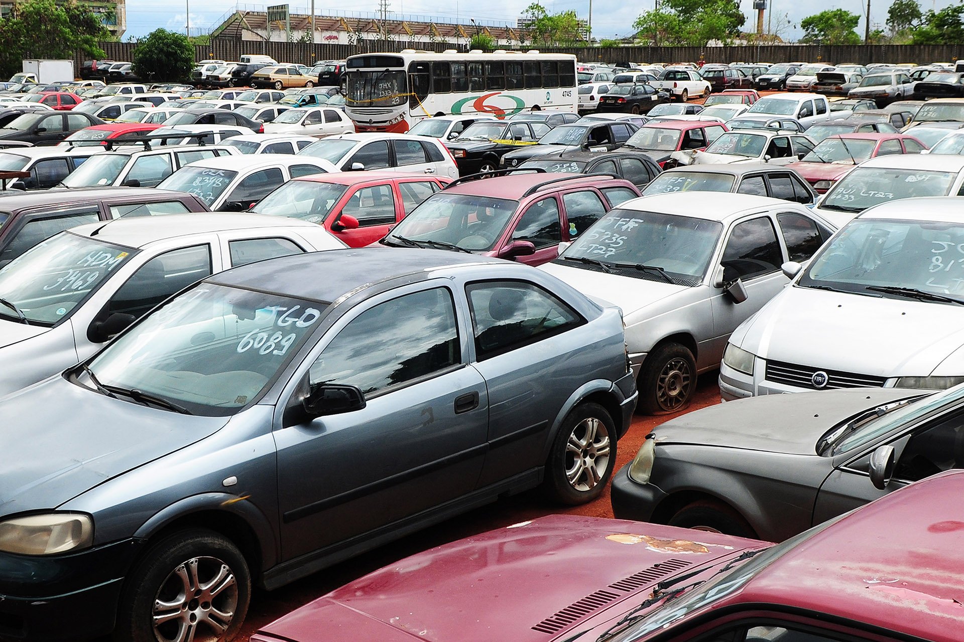 arrematar carro em leilão